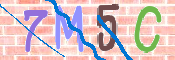 CAPTCHA (Şahıs Denetim Kodu) Resmi