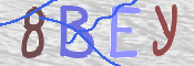 CAPTCHA (Şahıs Denetim Kodu) Resmi