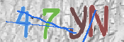 CAPTCHA (Şahıs Denetim Kodu) Resmi