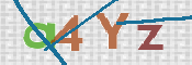 CAPTCHA (Şahıs Denetim Kodu) Resmi