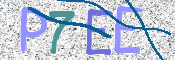CAPTCHA (Şahıs Denetim Kodu) Resmi