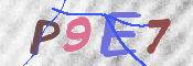CAPTCHA (Şahıs Denetim Kodu) Resmi