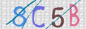 CAPTCHA (Şahıs Denetim Kodu) Resmi