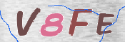 CAPTCHA (Şahıs Denetim Kodu) Resmi