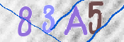CAPTCHA (Şahıs Denetim Kodu) Resmi