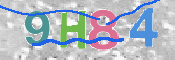 CAPTCHA (Şahıs Denetim Kodu) Resmi