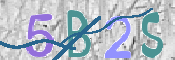 CAPTCHA (Şahıs Denetim Kodu) Resmi