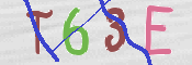 CAPTCHA (Şahıs Denetim Kodu) Resmi