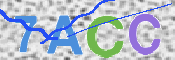 CAPTCHA (Şahıs Denetim Kodu) Resmi