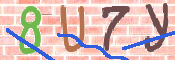 CAPTCHA (Şahıs Denetim Kodu) Resmi