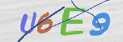 CAPTCHA (Şahıs Denetim Kodu) Resmi