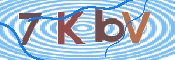 CAPTCHA (Şahıs Denetim Kodu) Resmi