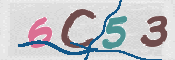 CAPTCHA (Şahıs Denetim Kodu) Resmi