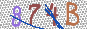 CAPTCHA (Şahıs Denetim Kodu) Resmi