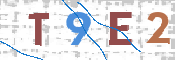 CAPTCHA (Şahıs Denetim Kodu) Resmi