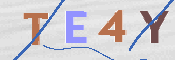 CAPTCHA (Şahıs Denetim Kodu) Resmi