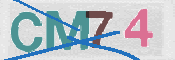 CAPTCHA (Şahıs Denetim Kodu) Resmi