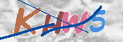 CAPTCHA (Şahıs Denetim Kodu) Resmi