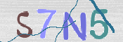 CAPTCHA (Şahıs Denetim Kodu) Resmi
