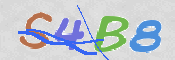CAPTCHA (Şahıs Denetim Kodu) Resmi