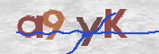 CAPTCHA (Şahıs Denetim Kodu) Resmi