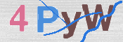 CAPTCHA (Şahıs Denetim Kodu) Resmi