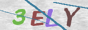 CAPTCHA (Şahıs Denetim Kodu) Resmi