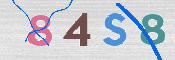 CAPTCHA (Şahıs Denetim Kodu) Resmi