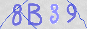 CAPTCHA (Şahıs Denetim Kodu) Resmi