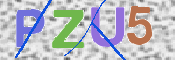CAPTCHA (Şahıs Denetim Kodu) Resmi