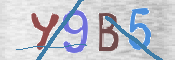 CAPTCHA (Şahıs Denetim Kodu) Resmi