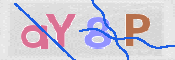 CAPTCHA (Şahıs Denetim Kodu) Resmi