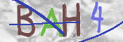 CAPTCHA (Şahıs Denetim Kodu) Resmi