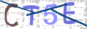 CAPTCHA (Şahıs Denetim Kodu) Resmi