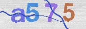 CAPTCHA (Şahıs Denetim Kodu) Resmi