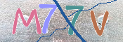 CAPTCHA (Şahıs Denetim Kodu) Resmi