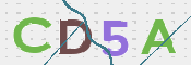 CAPTCHA (Şahıs Denetim Kodu) Resmi