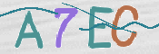 CAPTCHA (Şahıs Denetim Kodu) Resmi