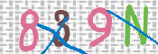 CAPTCHA (Şahıs Denetim Kodu) Resmi