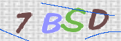 CAPTCHA (Şahıs Denetim Kodu) Resmi