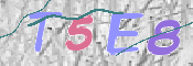 CAPTCHA (Şahıs Denetim Kodu) Resmi