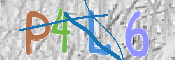 CAPTCHA (Şahıs Denetim Kodu) Resmi