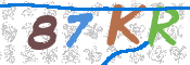 CAPTCHA (Şahıs Denetim Kodu) Resmi