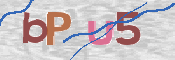 CAPTCHA (Şahıs Denetim Kodu) Resmi