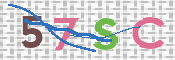 CAPTCHA (Şahıs Denetim Kodu) Resmi