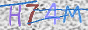 CAPTCHA (Şahıs Denetim Kodu) Resmi