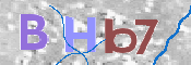 CAPTCHA (Şahıs Denetim Kodu) Resmi