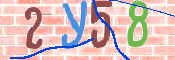 CAPTCHA (Şahıs Denetim Kodu) Resmi