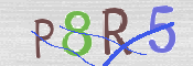 CAPTCHA (Şahıs Denetim Kodu) Resmi