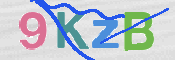 CAPTCHA (Şahıs Denetim Kodu) Resmi
